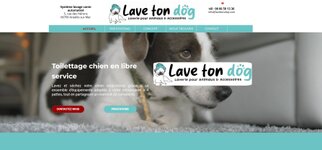 toiletage chien automatique argeles  