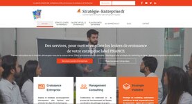 https://strategie-entreprise.fr/